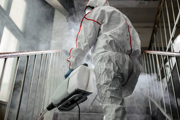 Best Asbestos and Lead Testing During Mold Inspection  in New Windsor, MD